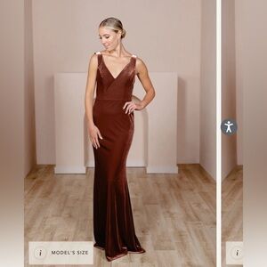 Revelry Dakota Velvet Dress